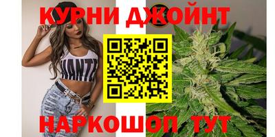 дмт Краснодар